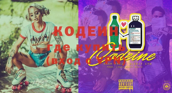 молекула духа Бородино