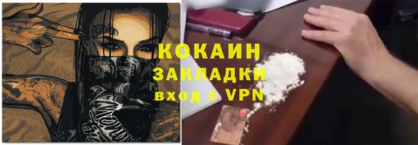 молекула духа Бородино