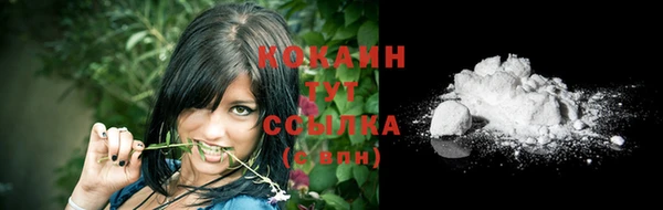 молекула духа Бородино