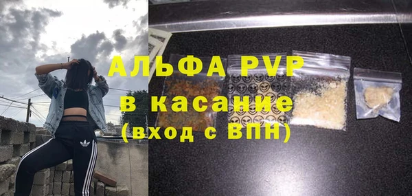 молекула духа Бородино