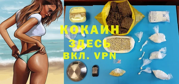 молекула духа Бородино